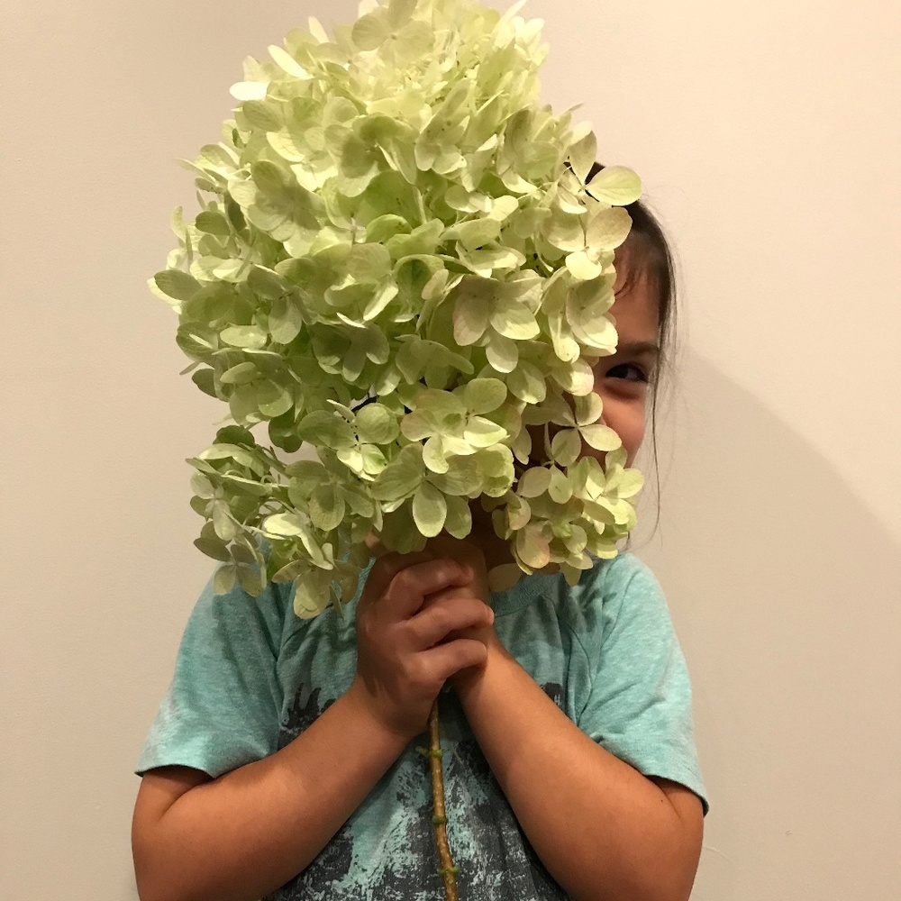 Meet your Posher, Linda